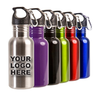 17 oz. BPA Free Stainless Steel Bottle Includes Carabiner Clip